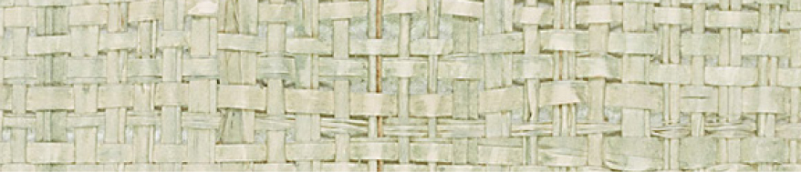 Aloe Raffia Face